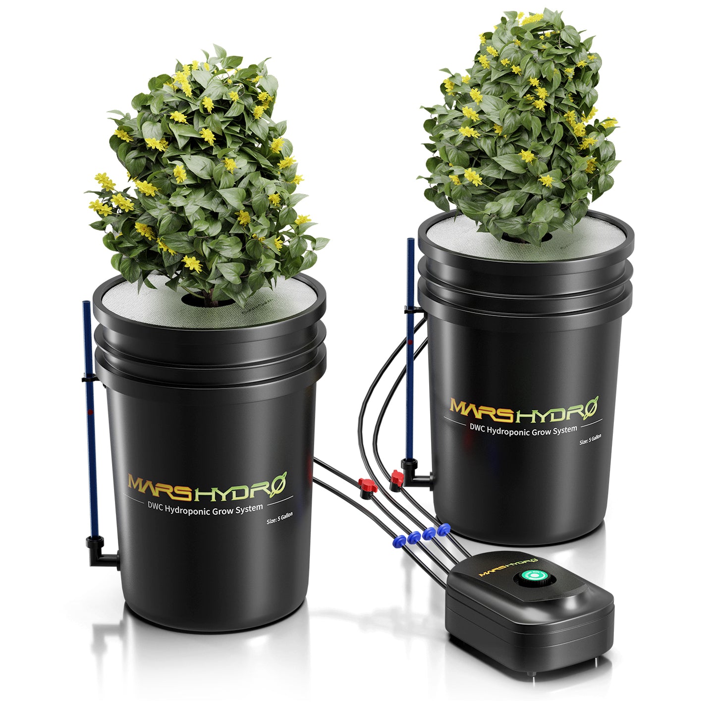 Mars Hydro DWC System 2 tankar