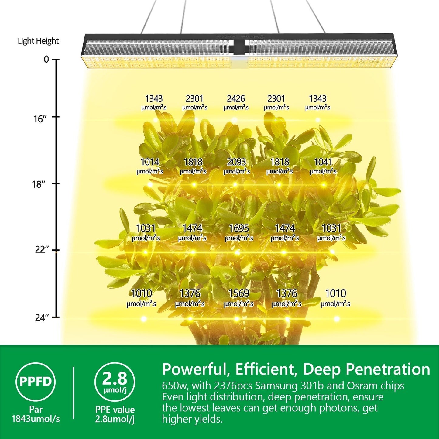 Mars Hydro SP6500 – 3.3µmol/J Dimbart Full Spectrum LED Kweeklampe