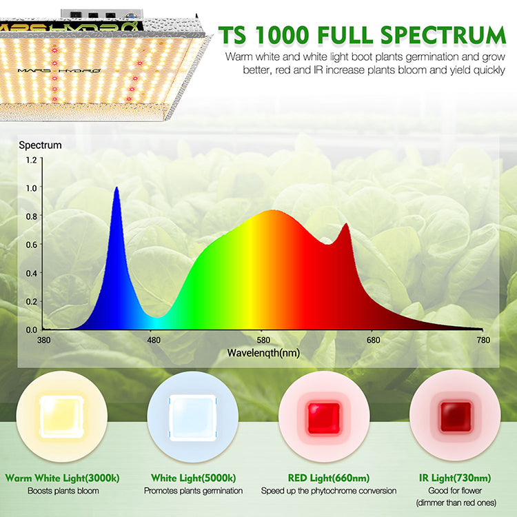 MARS HYDRO TS1000 2,4 µmol/J 150W